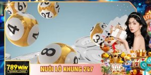Nuôi Lô Khung 247 - Chiến Thuật Nuôi Dài Hạn, Hạn Chế Rủi Ro